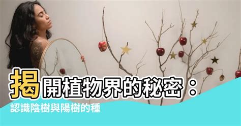 陰樹陽樹